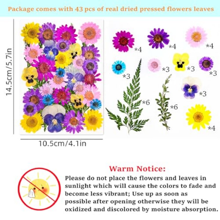 Cardstock Blank Bookmarks Set, - Dried Flower Bookmark ulasan dan harga
